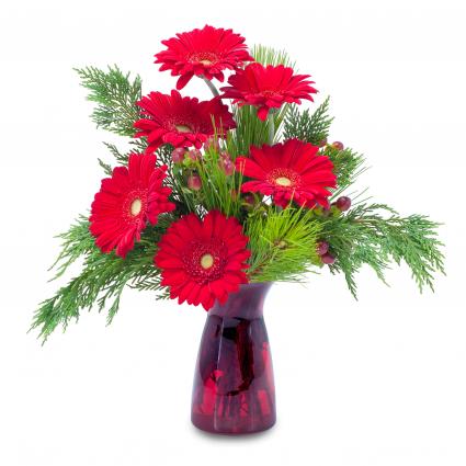 Winter Gerbera Arrangement