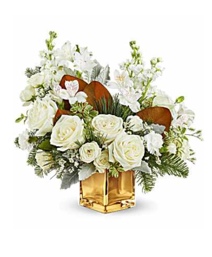 Winter Luxe Radiance 