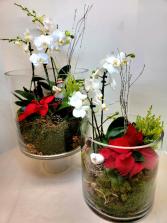 Winter Orchid Christmas Terrarium 