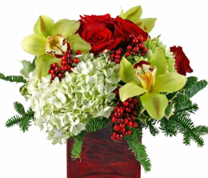Winter Orchids Cube Arrangement in Chatham, NJ | SUNNYWOODS FLORIST Winter Orchids Cube Arrangement in Chatham, NJ | SUNNYWOODS FLORIST