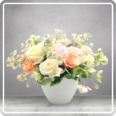 Winter Peach Reserve 