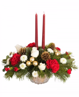 Winter Pines Centerpiece in Winston Salem, NC | RAE'S NORTH POINT FLORIST INC. Winter Pines Centerpiece in Winston Salem, NC | RAE'S NORTH POINT FLORIST INC.