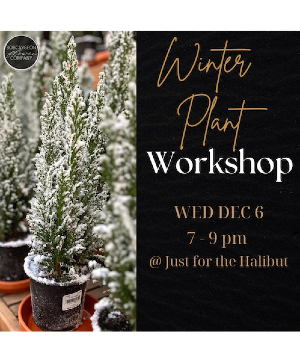 Winter Plant Arrangement Workshop 