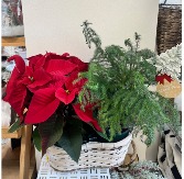 Winter Plant Basket 