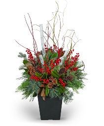 Winter Porch Pot Flower Arrangement