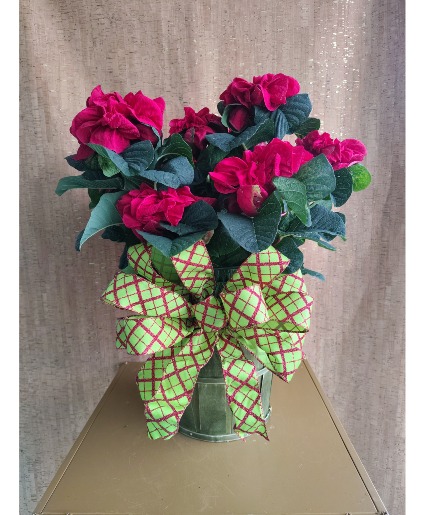 WINTER ROSE POINSETTIA BLOOMING PLANT