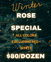 Winter Rose Special 