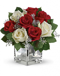 Winter Roses 