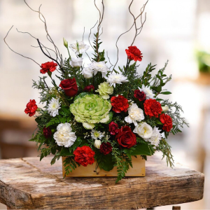 Winter Sensation Flowers