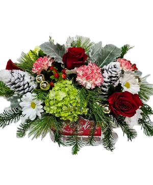 https://cdn.atwilltech.com/flowerdatabase/w/winter-sleigh-6572225fc22625.99034623.300.png