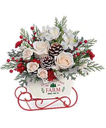 Winter Sleigh Arrangement in Winnipeg, MB | CHARLESWOOD FLORISTS Winter Sleigh Arrangement in Winnipeg, MB | CHARLESWOOD FLORISTS