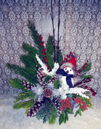 Winter Snowbird Design