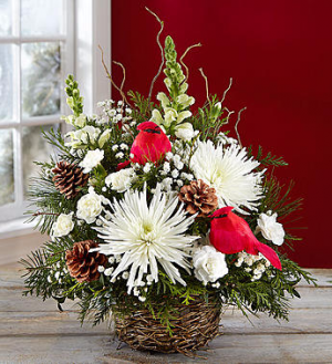Winter Songbird™ in Valley City, OH | HILL HAVEN FLORIST & GREENHOUSE Winter Songbird™ in Valley City, OH | HILL HAVEN FLORIST & GREENHOUSE