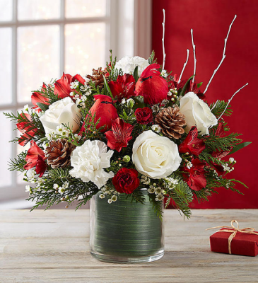 Winter Songbird FROM ROMA FLORIST