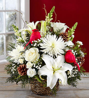 Winter Songbird Seasonal in Gladewater, TX | GLADEWATER FLOWERS & MORE Winter Songbird Seasonal in Gladewater, TX | GLADEWATER FLOWERS & MORE