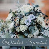 Winter Special Designer's Choice