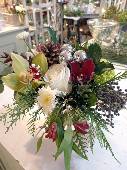 Winter Special Designers Choice