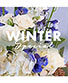 Winter Special Designer's Choice