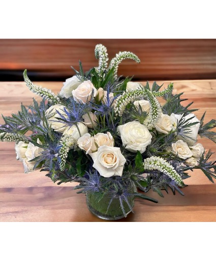 Winter stars Compact Garden style