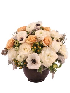 Category Image
