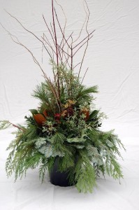 WINTER WELCOME Evergreen Urn Drop In in Port Stanley, ON | Flowers By Rosita