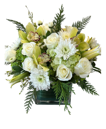 WINTER WHITE   in Williamsburg, VA | Blessing and Blooms Florist