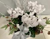 Winter White Cyclamen Flowering Plant