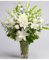 winter white  winter 