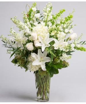 winter white  winter 