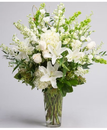 winter white  winter 