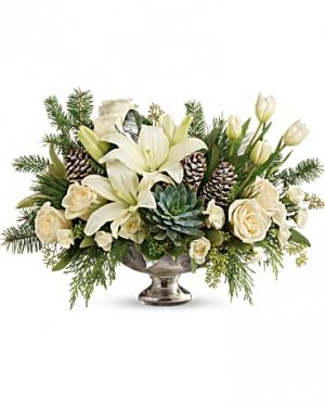 Winter Wild Centerpiece Premium in Sunrise, FL | FLORIST24HRS.COM Winter Wild Centerpiece Premium in Sunrise, FL | FLORIST24HRS.COM