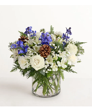 WINTER WISHES  in Lexington, KY | FLOWERS BY ANGIE