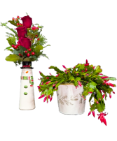 Winter Wonder Bundle 