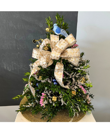 Winter Wonderland 2026 New Year Boxwood Tree in Mattapoisett, MA | Blossoms Flower Shop
