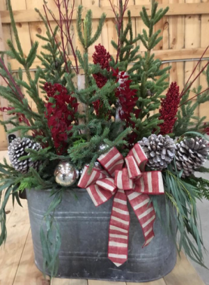 Winter wonderland Outdoor garden in Pelican Rapids, MN | Brown-Eyed Susan's Floral Winter wonderland Outdoor garden in Pelican Rapids, MN | Brown-Eyed Susan's Floral