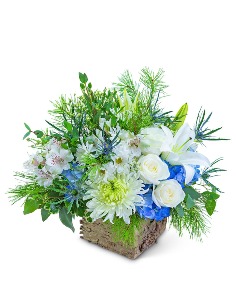 Category Image