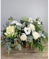 winter woods  winter 