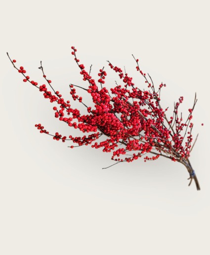 Winterberry Bouquet Wrapped Bouquet