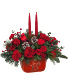  Winter's Flight Centerpiece T23X105A Teleflora'