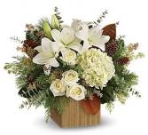 Wintery white Cut flowers