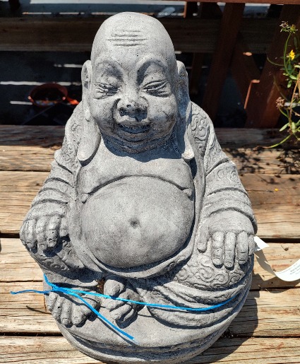 WISE BUDDA LIMITED SUPPLY