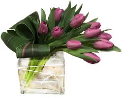 Wishing Tulips 10 tulips red, purple or pink