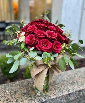 Long Stem Ecuadorian Red Roses 2 Dozen 