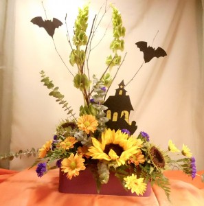 Witch Way 4 Candy? Halloween Bouquet in White Oak, PA | Breitinger's Flowers Witch Way 4 Candy? Halloween Bouquet in White Oak, PA | Breitinger's Flowers