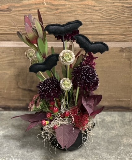 Witches Bloom Caldron Arrangement