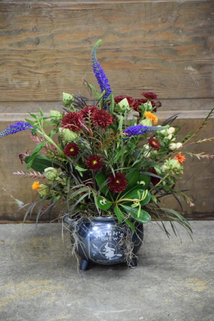 Witches Brew Ceramic Container in Bozeman, MT | BOUQUETS AND MORE