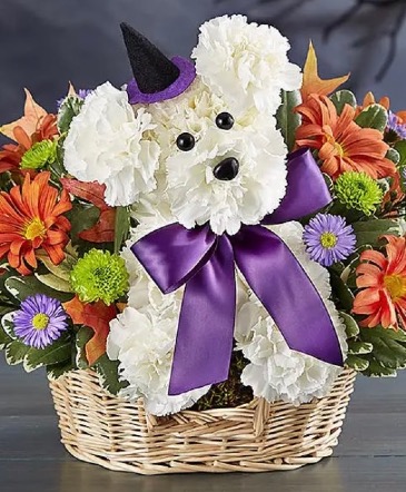 Witchy Pooch  in Wichita, KS | FLOWER FACTORY FLOWERS