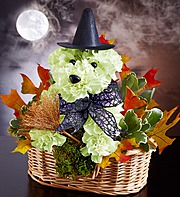 Witchy Pooch a-DOG-able