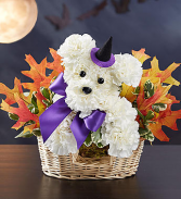 Witchy Pooch Floral Arrangement
