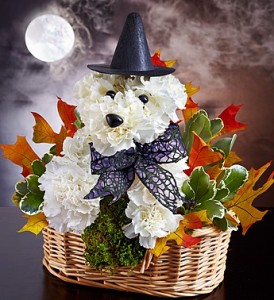 Witchy Pooch™ Halloween